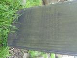image of grave number 947741